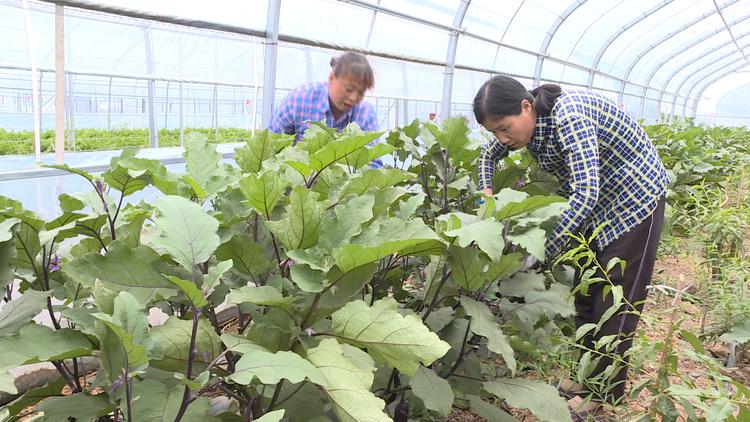 大荔县卫生健康局最新发展规划概览